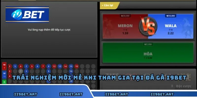 Người chơi cần học hỏi kinh nghiệm cược